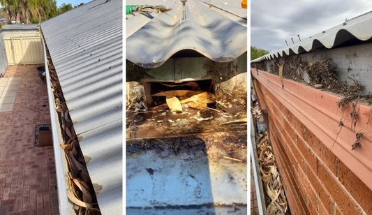 Blocked Gutters In Perth Need Gutter Replacement